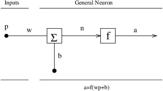 Simplified diagram of a neuron, illustrating its fundamental structure as AI's biological inspiration.
